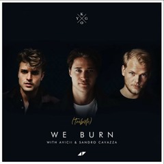 We Burn (Faster Than Light) - Kygo, Avicii & Sandro Cavazza