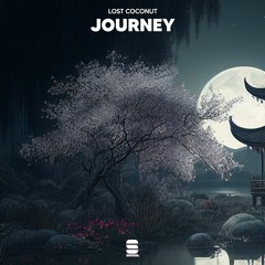 Lost Coconut - Journey