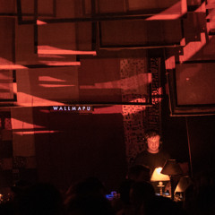 Praslea @ WallMapu (Buenos Aires) 17.05.24
