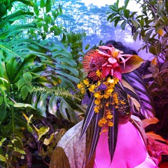 WD4D - Honesty (ft. Noah Sanemitsu)