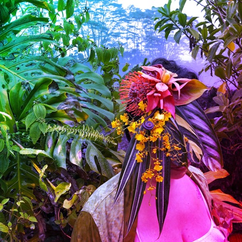 WD4D - Honesty (ft. Noah Sanemitsu)