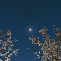 Pink Ash (Prod. by hermèz)