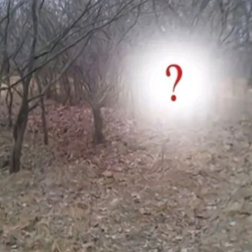 PA DISTRAERME (nettspend)