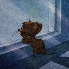 momo playlist - Tô Mạc Già