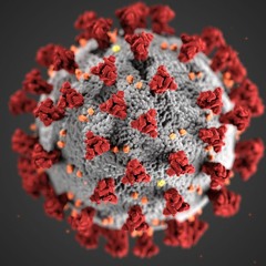 S4:E8 - The Pandemic Discussion - Part 1