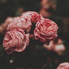 قراءة هادئة لاوائل سورة الصافات برواية ورش | يحيي صدقي ♥️♥️