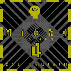 micro - session 4