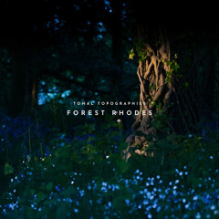 Calm music