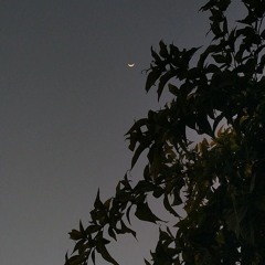 4AM in Karachi - Talha Anjum |