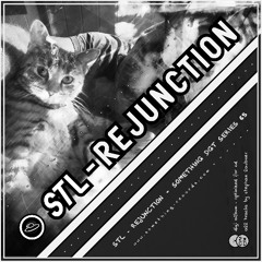 Snippets for the 'STL - Rejunction' Album #Something DGT Series 65