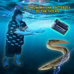 I THROW MY CAR BATTERIES IN THE OCEAN ( IT IS SAFE AND IT IS LEGAL TO DO )