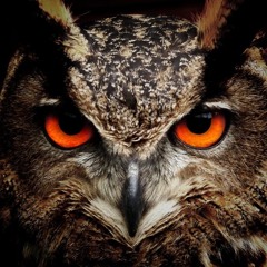 Sacred Samhain Dance at the Madrone Temple