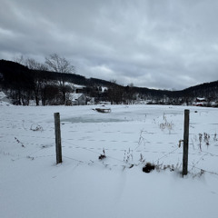 December's Wandering