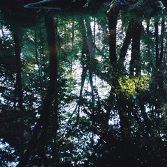 somewhere else in the trash