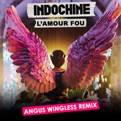 I N D O C H I N E - L'amour fou (Angus wingless remix)