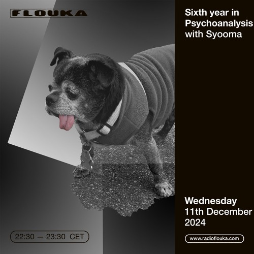 ₛᵢₓₜₕ yₑₐᵣ ᵢₙ ₚₛycₕₒₐₙₐₗyₛᵢₛ - 11/12/2024