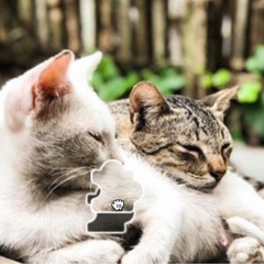 wow beautiful mix mp3 pre release