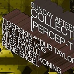 RENE ENGEL @PARADIGM Groningen - Sunday Afternoon Collective · Invites [Percep-tion]