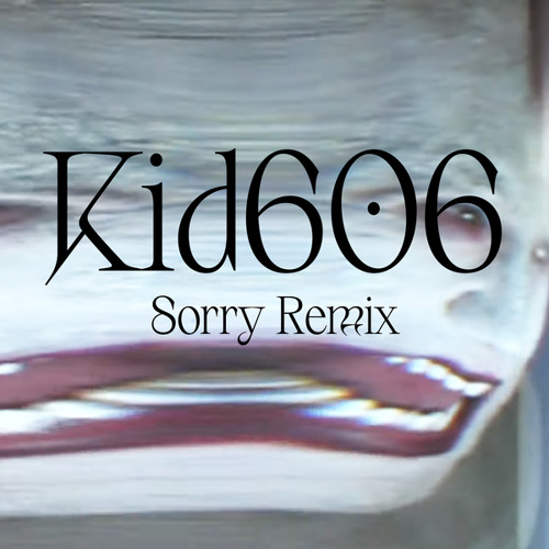 Sorry (Kid606 Remix)