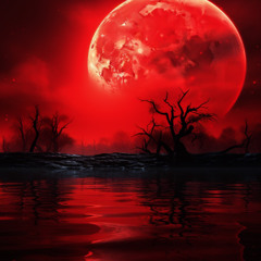 a tale of two pair of dickies