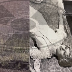 putrid - damn @40kys