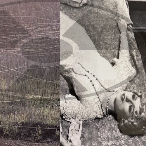 putrid - damn @40kys