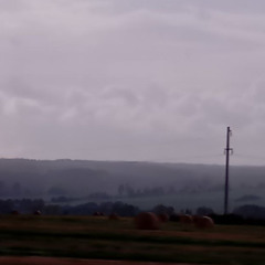 Swimming In Thoughts