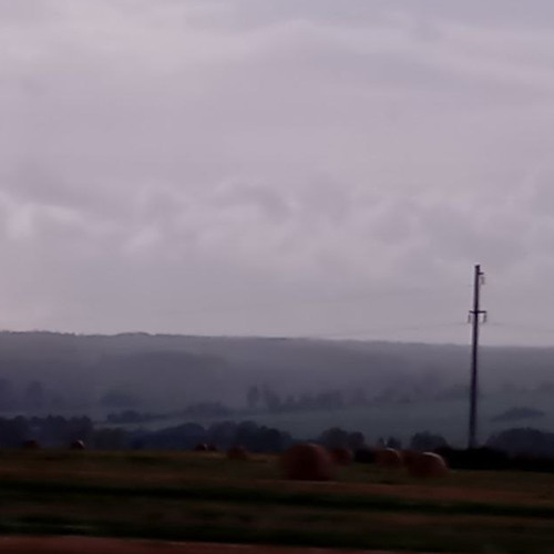 Swimming In Thoughts