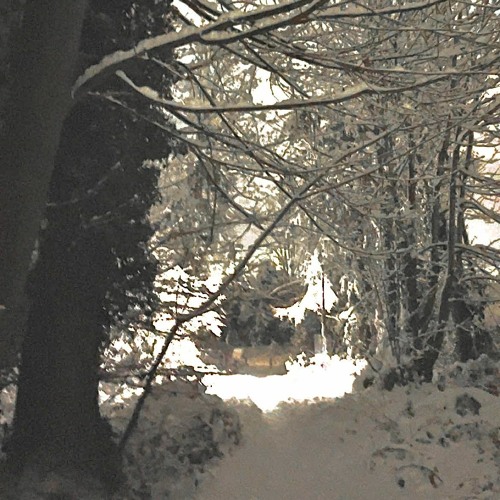 Snow sick
