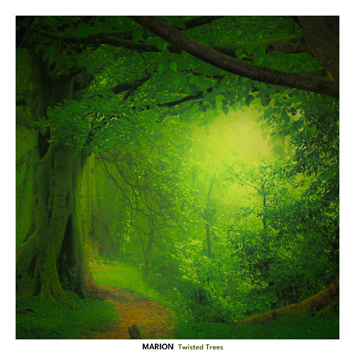 MARION - Twisted Trees