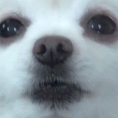 Life letters best part