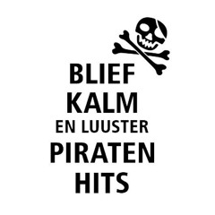 Piratenhits