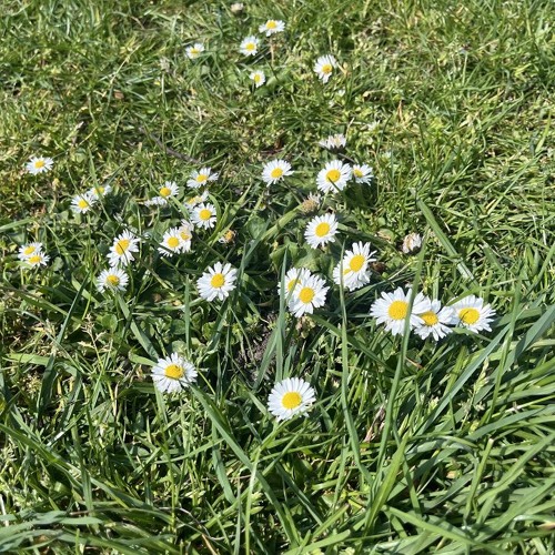 The Early Bird Show w/ Spirit Blue 300425