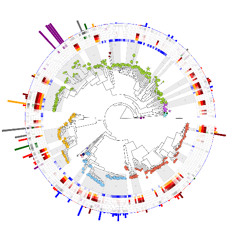 PEOPLE KNOW I'M BALLIN