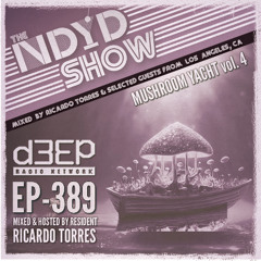 The NDYD Radio Show EP389 - Mushroom Yacht vol 4