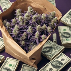 Torby są zielone - odrzut 2023-11