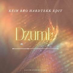 Kein Bro [Hardtekk RMX]