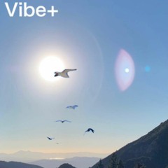 Vibe+