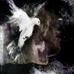 @iamdivine1107 - doves & ravens + prod. @jvc
