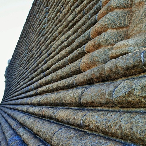 AI Snooze EP03 - Music from plants C_2nd_09