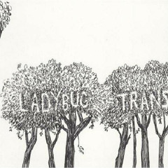 Everybody's Missing the Sun