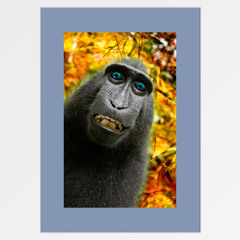 Gibbon Trance (There's Water in My Boots Mix)