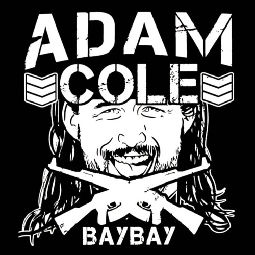 Adam Cole Theme (Bullet Club intro)