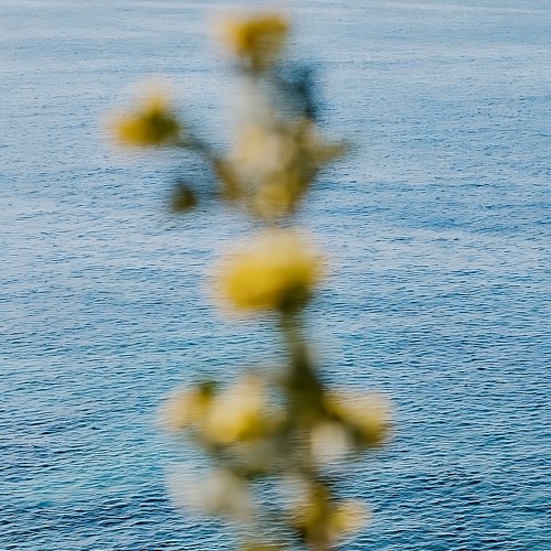 Alex Keeper - One of Your Illusions (feat. maybealice)