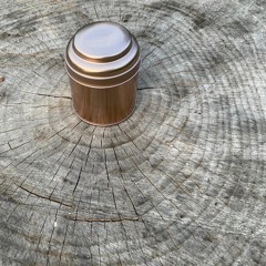 She, Wasp, A Hotel Detective