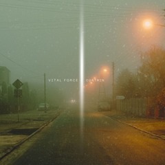 Vital Force - cuatrin