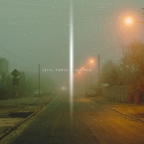 Vital Force - cuatrin