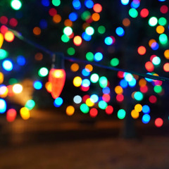 Fairy Lights In The Park
