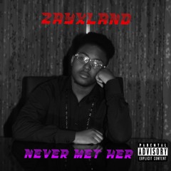 Never Met Her (prod. miller)
