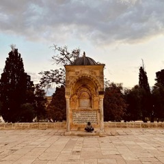 المجاهدة في تزكية النّفس | أحمد السيّد